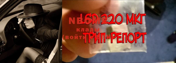 трава Баксан