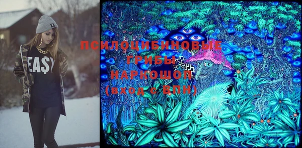 меф Белокуриха